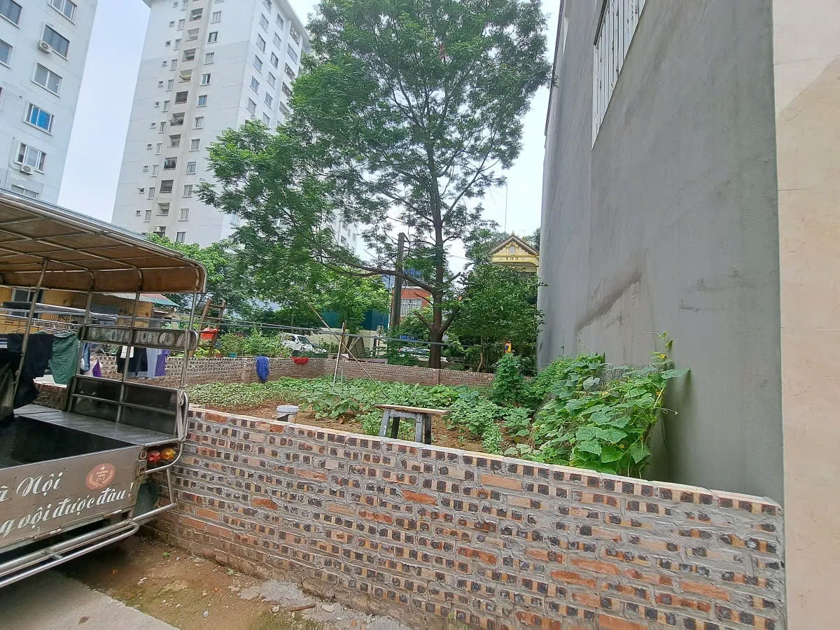 Bán đất phố Ngô Gia Tự, ô tô chạy vòng quanh nhà, diện tích 16m2, giá 11,8 tỷ