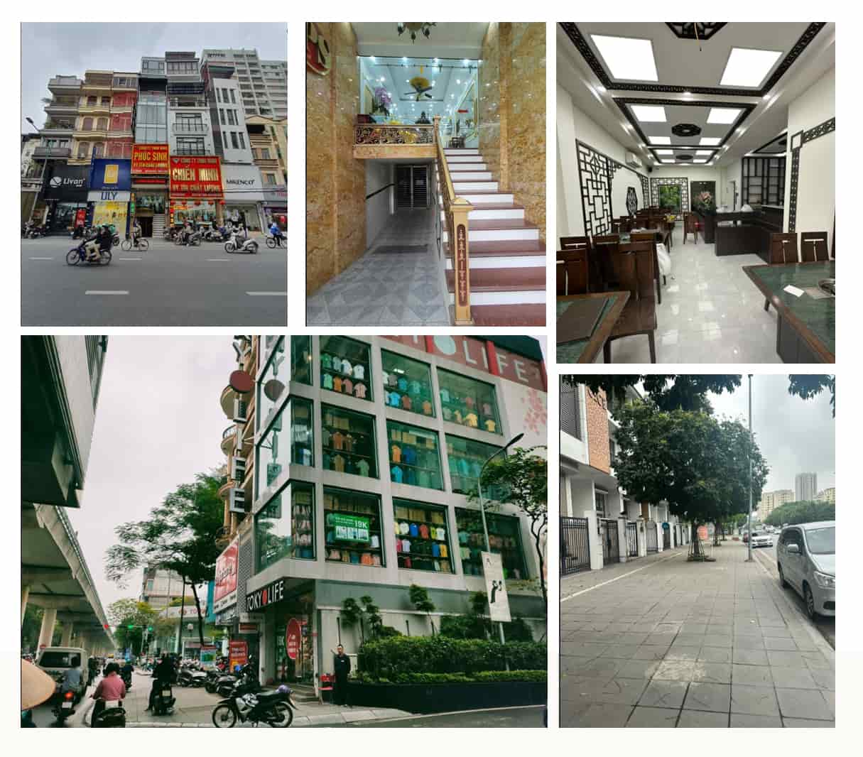 Nhà đường lớn giá 40-70 tỷ ở Cầu Giấy