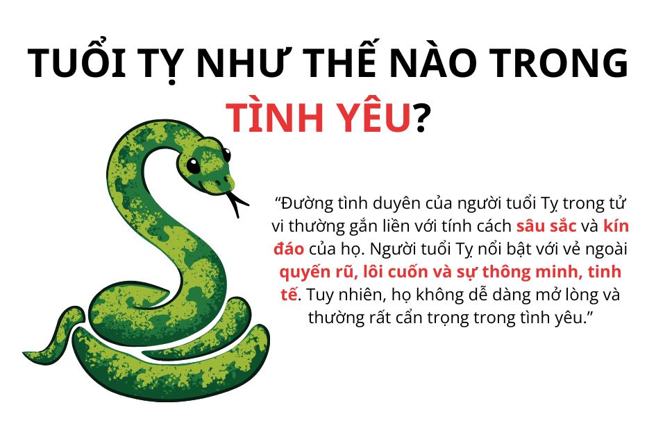 tu-vi-tuoi-ty