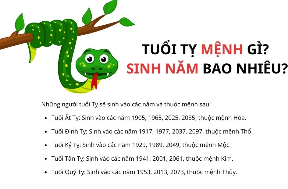 tuoi-ty-menh-gi