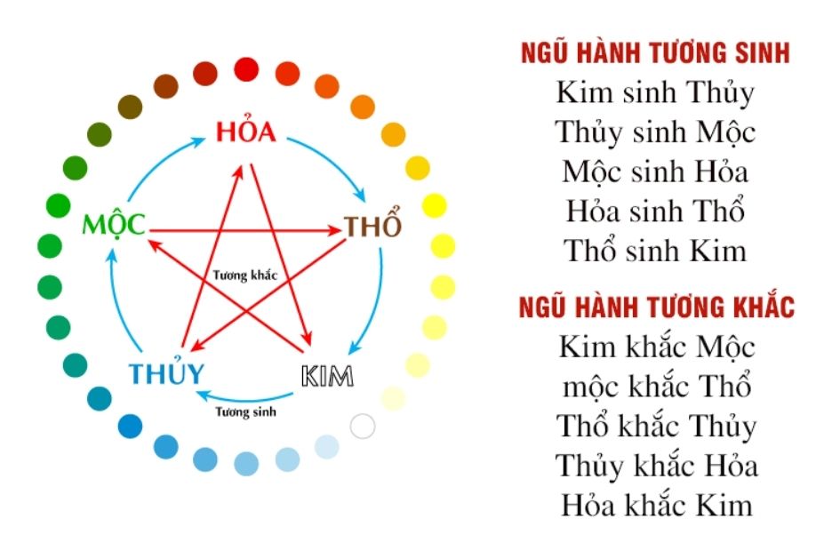 tu-vi-tuoi-hoi-1