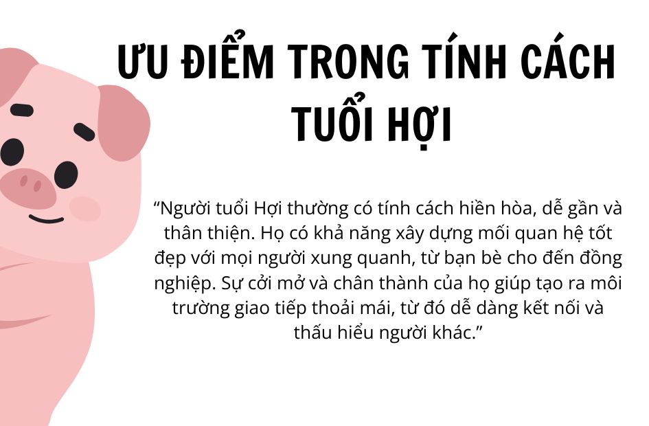 tu-vi-tuoi-hoi-2