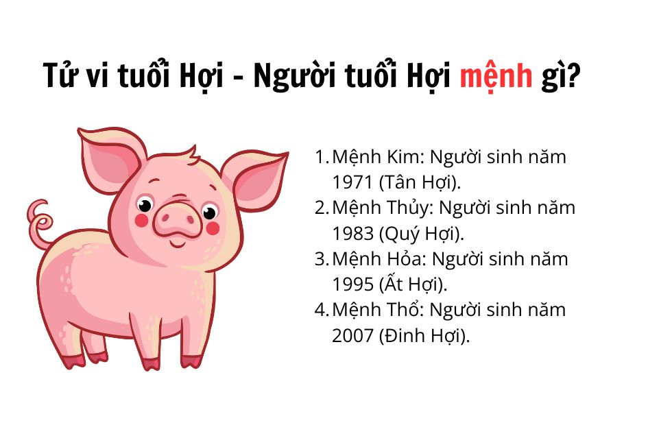 tu-vi-tuoi-hoi