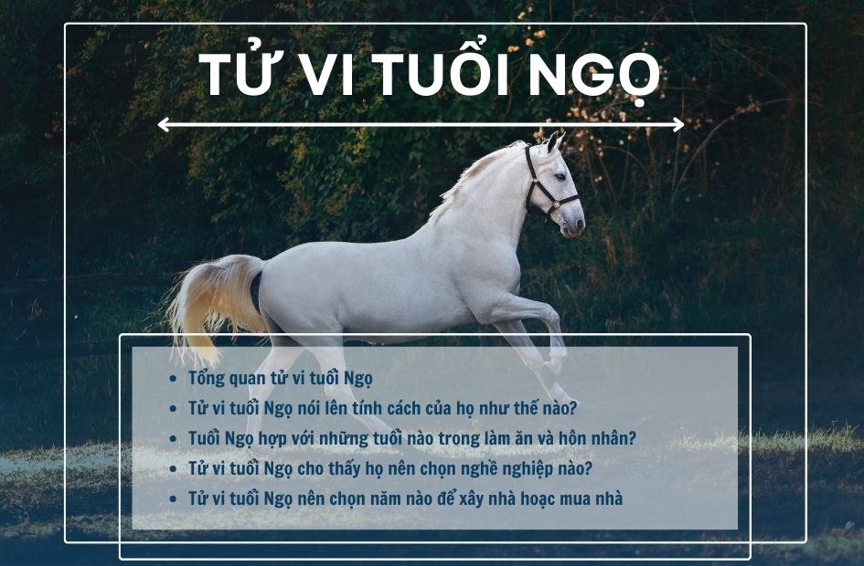 Tử vi tuổi Ngọ, chìa khóa mở ra cánh cửa thành công và hạnh phúc