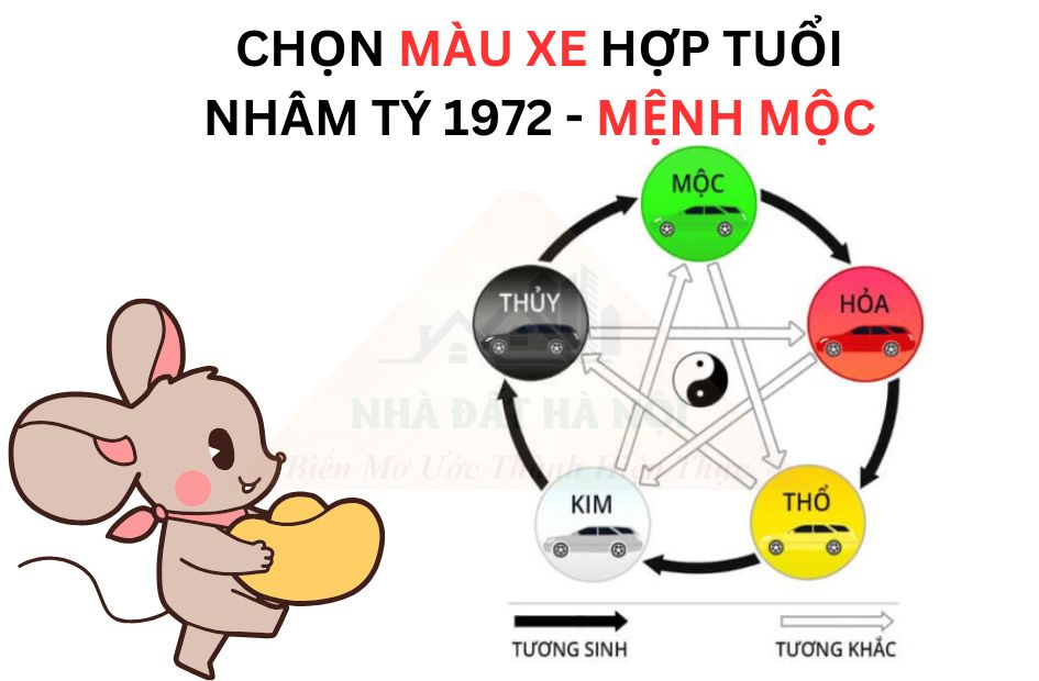Tong-quan-tu-vi-tuoi-nham-ty-1972