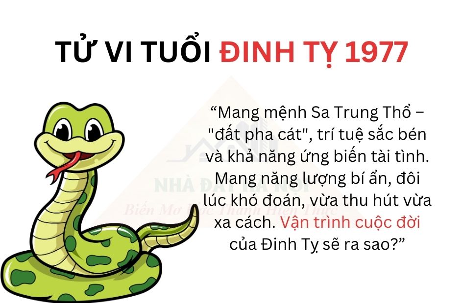 Tử vi tuổi Đinh Tỵ 1977, nên đọc để có chìa khóa khai mở tài lộc, đón nhận bình an