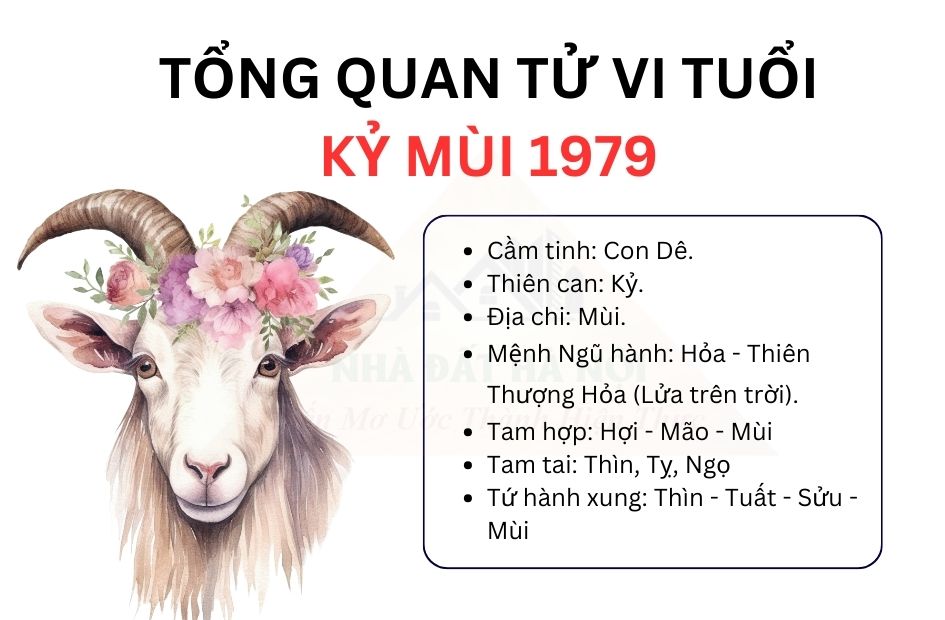 Tử vi tuổi Kỷ Mùi 1979, bí quyết kích hoạt vận may và hóa giải xung khắc
