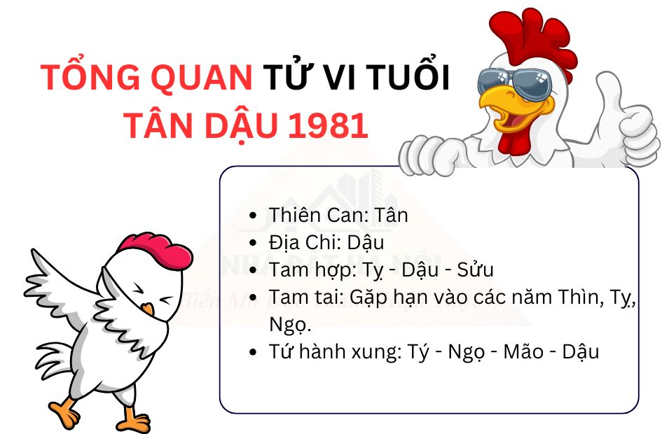 Tử vi tuổi Tân Dậu 1981, khám phá bí mật phong thủy mang lại tài lộc và bình an
