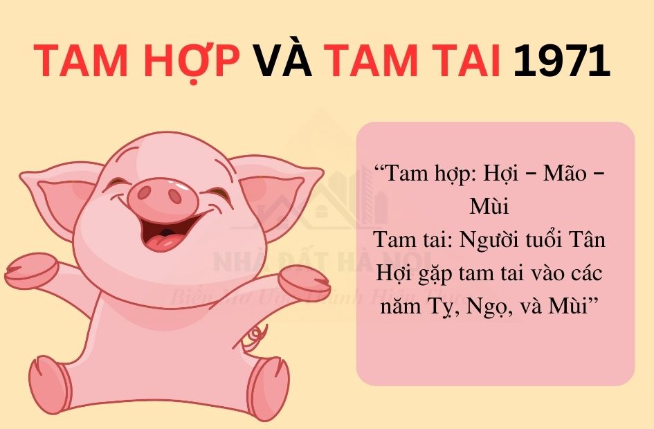 tu-vi-tuoi-tan-hoi-1971