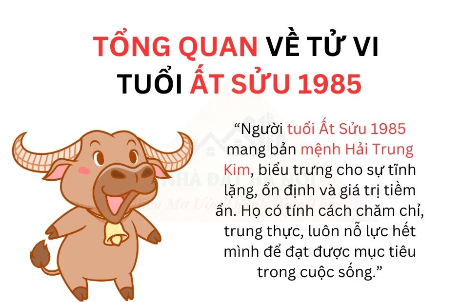 Tử vi tuổi Ất Sửu 1985 chìa khóa vàng giúp bạn khám phá vận mệnh, sự nghiệp và tình duyên