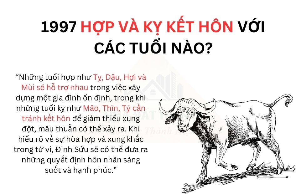 tu-vi-tuoi-dinh-suu-1997