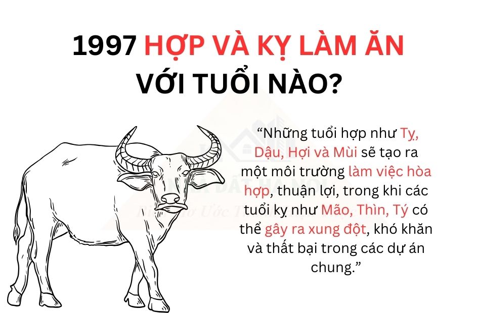 tu-vi-tuoi-dinh-suu-1997