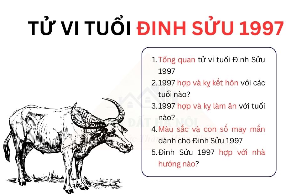 Tử vi tuổi Đinh Sửu 1997 chi tiết cho cả nam mạng và nữ mạng, yêu đương, kết hôn, sinh con, mua nhà
