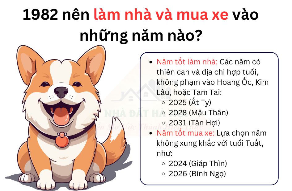 tu-vi-tuoi-nham-tuat-1982