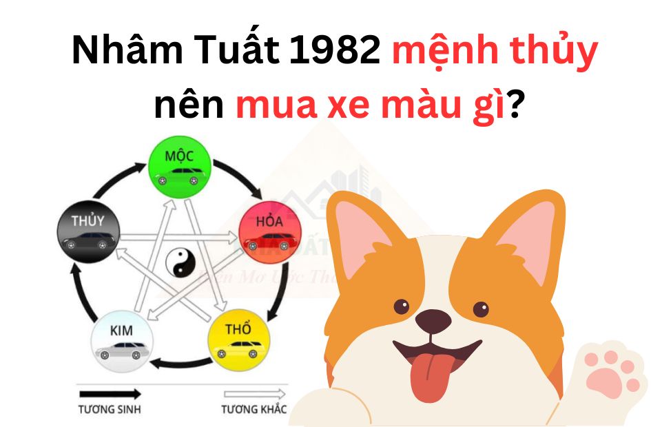 tu-vi-tuoi-nham-tuat-1982